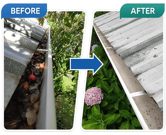 Sample before and after photo - dry