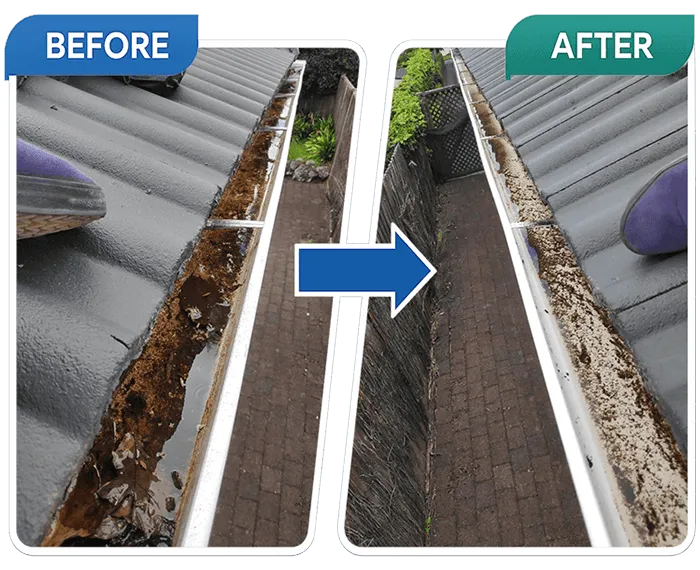 Sample before and after photo - wet